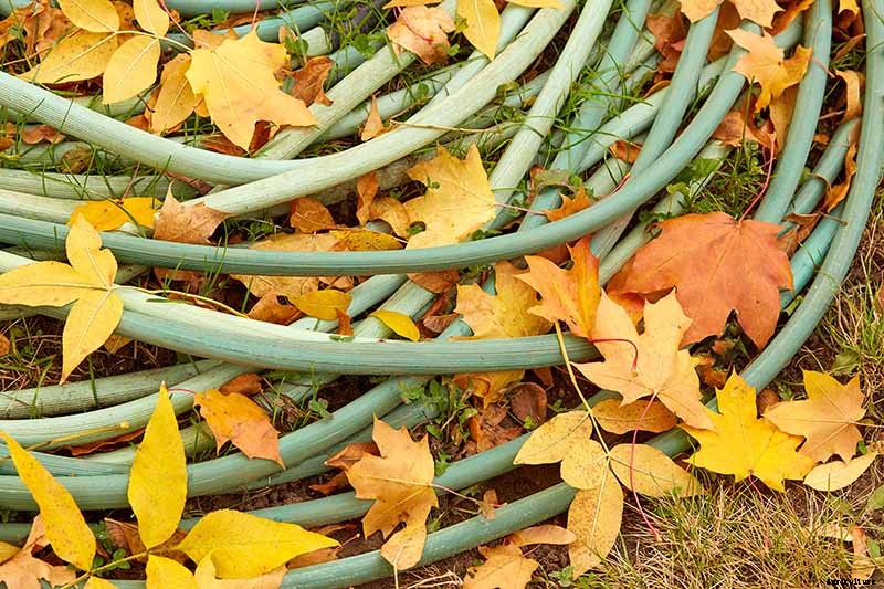 How to Plant an Autumn Vegetable Garden