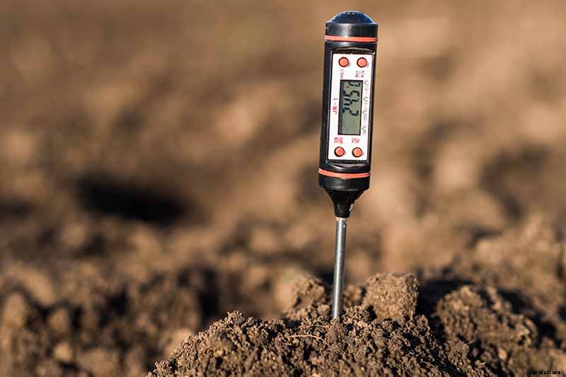 When to Plant Crops In Fall