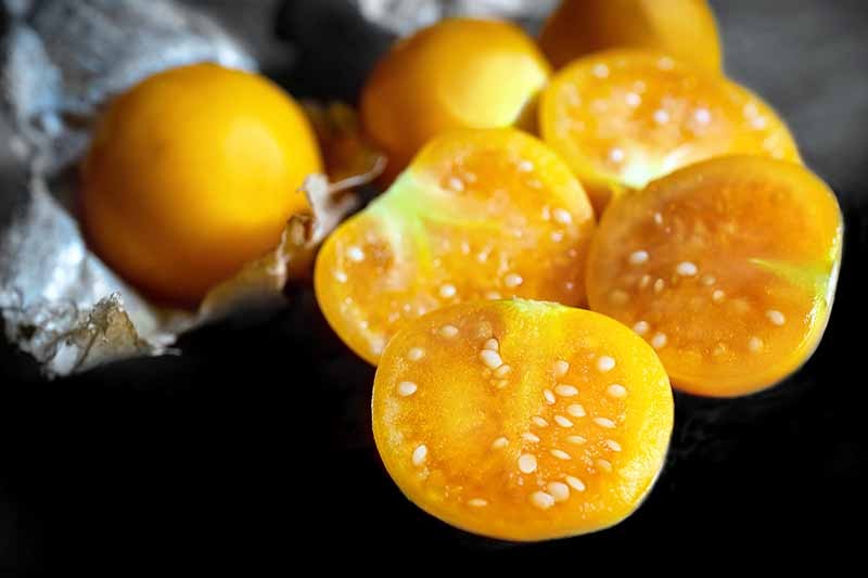 How to Plant and Grow Ground Cherry, A Tasty Tropical Berry