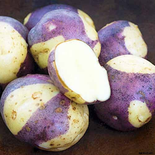 11 of the Best Potato Varieties to Grow at Home