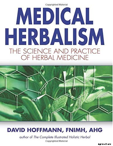 Harvesting and Preserving Elderberry: A Fruit for Food and Medicine