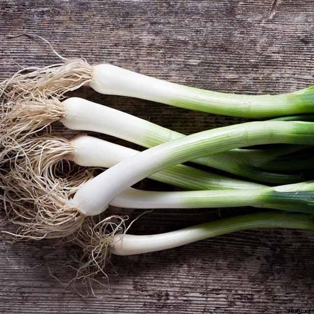 How to Grow and Harvest Bunching Onions