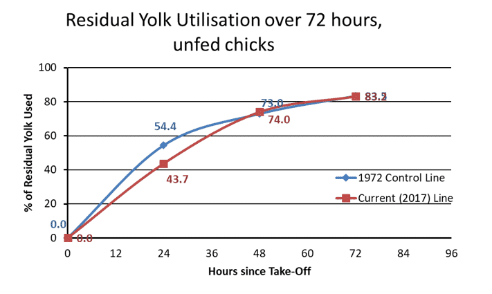 Factors affecting chick comfort and liveability from hatcher to brooding house