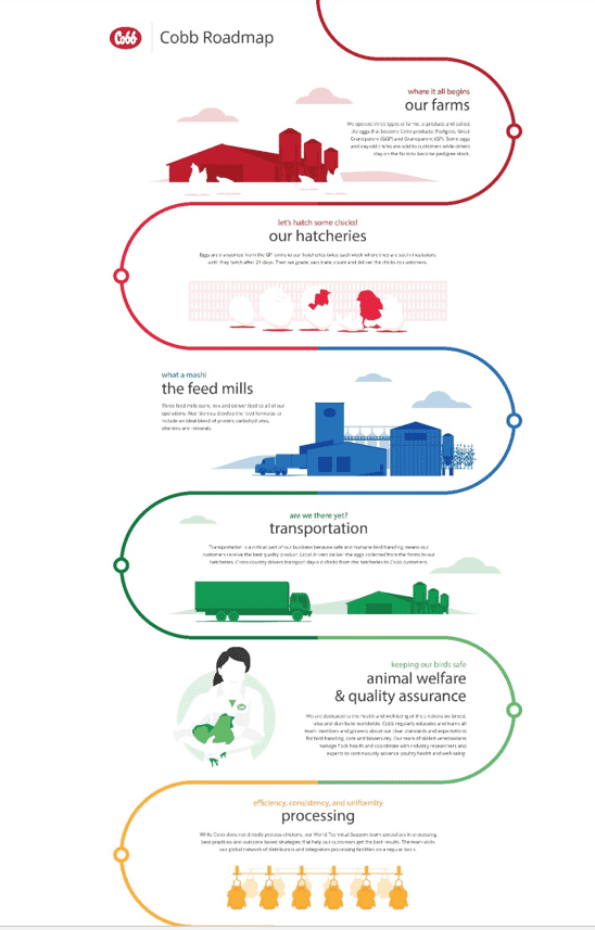 Slowing broiler growth under special circumstances using feed/nutritional interventions