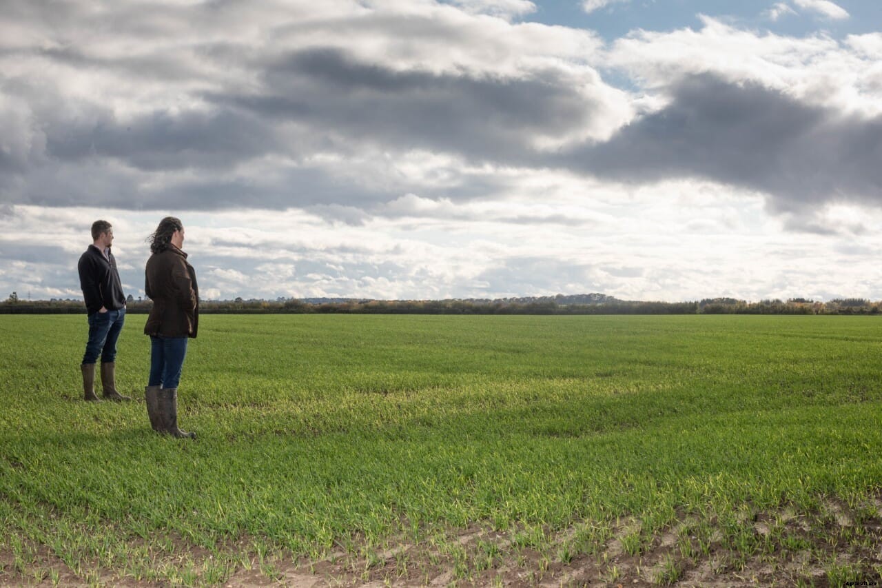 New study suggests that the EU Green deal could have uncertain impacts on farm net income