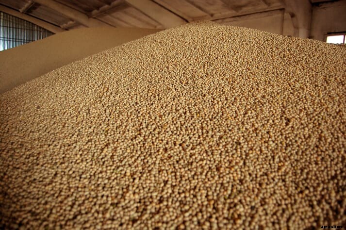 US organic soy prices hit new record, sparking fears of food inflation