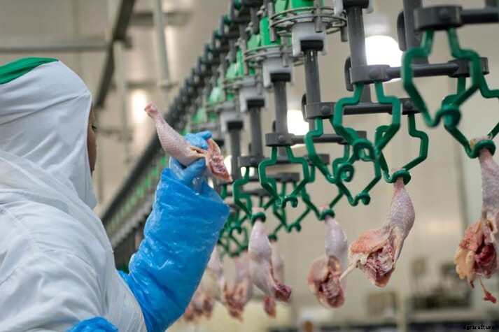 7 South Korea-based chicken processors fined $21.2 million for price fixing