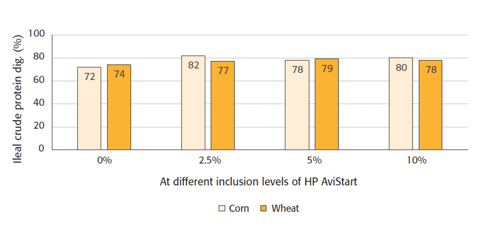 Studies confirm best protein source for broiler starter feed