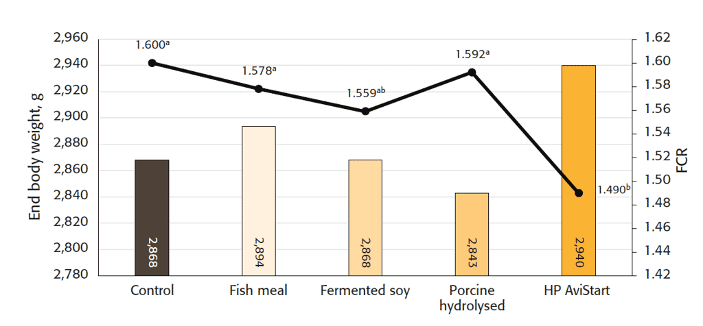 Studies confirm best protein source for broiler starter feed