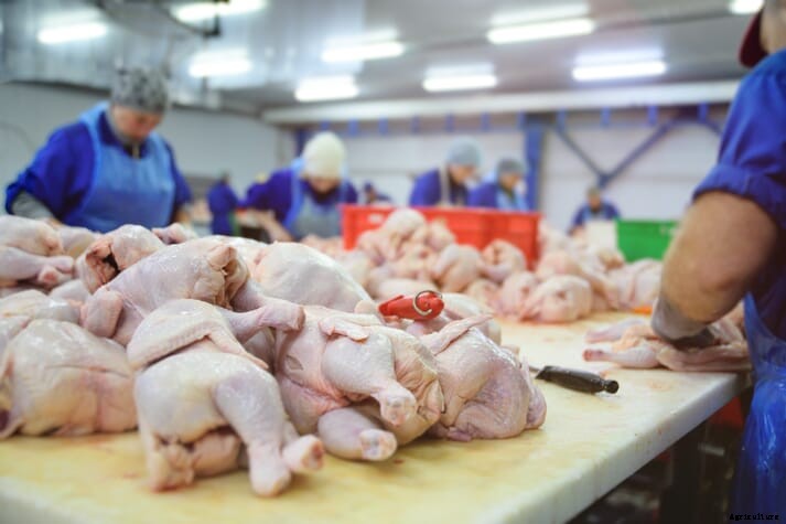EU poultry meat sector to develop a sustainability charter
