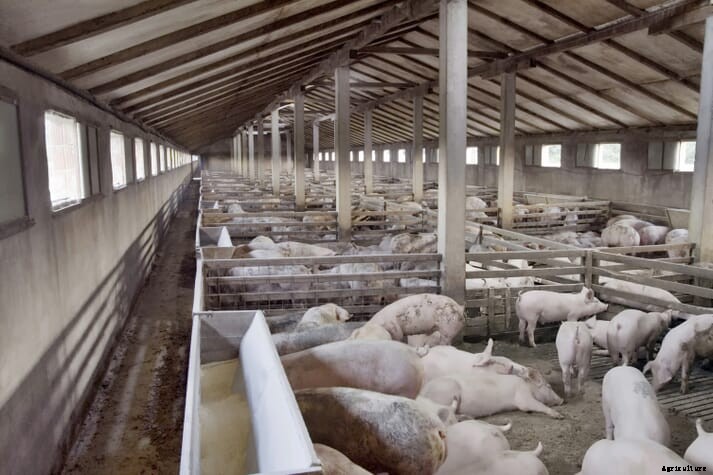9th Circuit vacates factory farms permit for Idaho