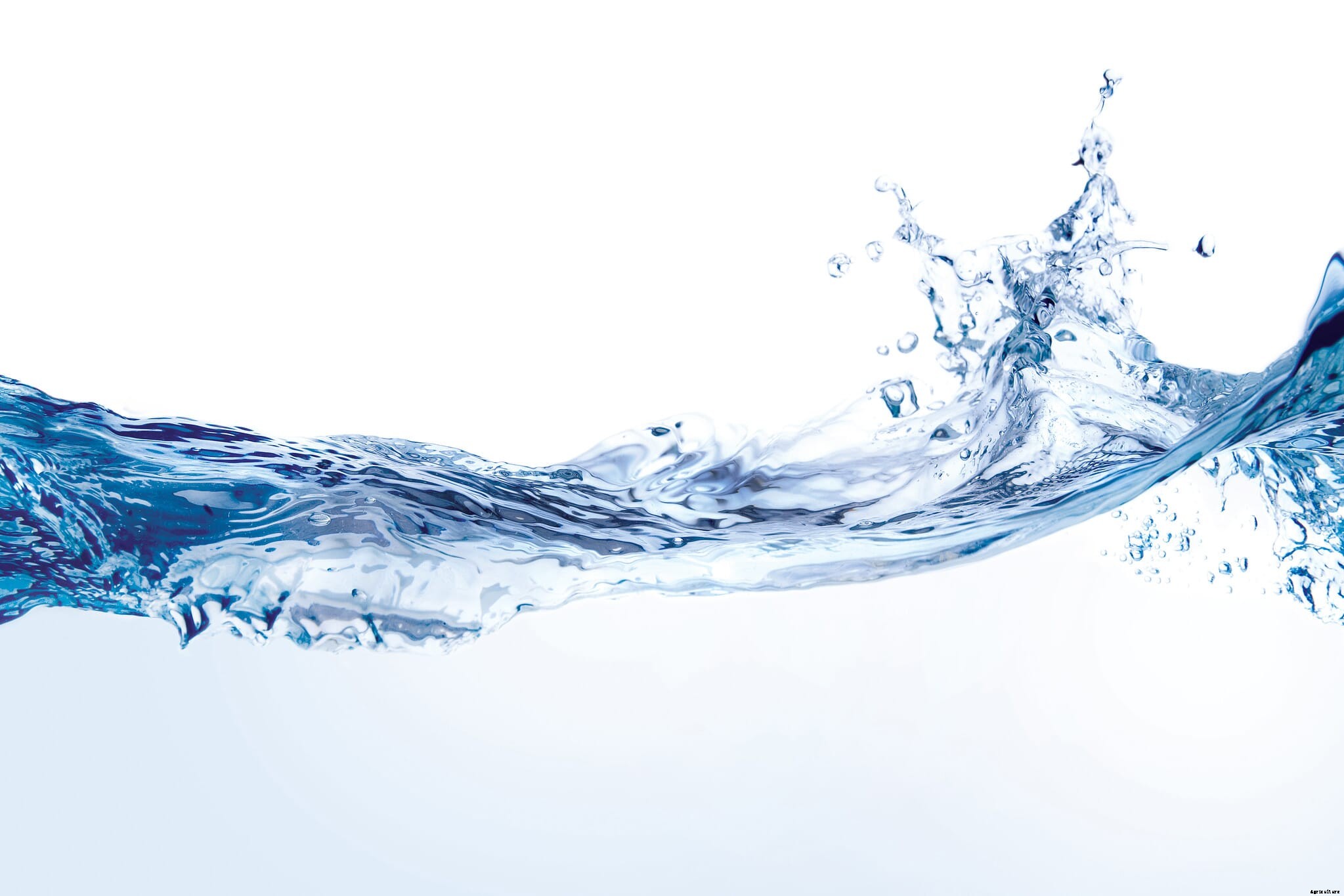 Organic acids and their role on animal performance and welfare