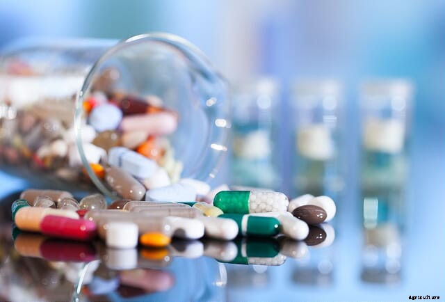 Vets warn that proposed EU antibiotics rule puts animal health at risk