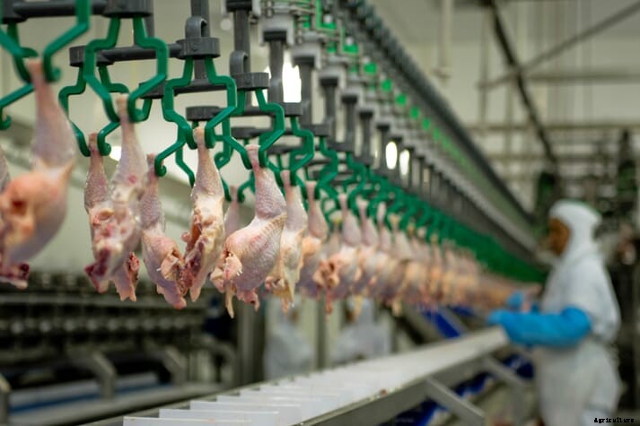 Poultry processors Tyson and Perdue to pay $35 million to settle lawsuit with US farmers