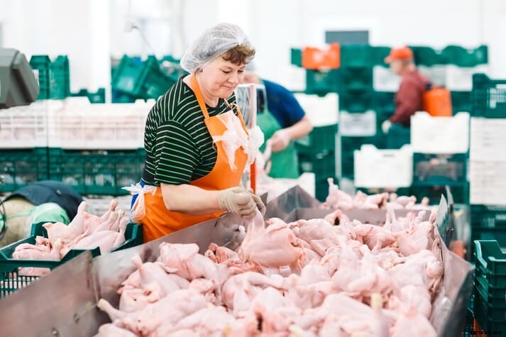 Brazil’s poultry production and exports expected to increase 3% in 2022