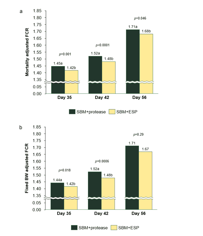Enzyme-treated soy protein in broiler starter feed goes beyond improving dietary protein digestibility
