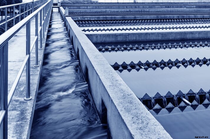 Low concentrations of peracetic acid found to be safe when treating wastewater from processing operations