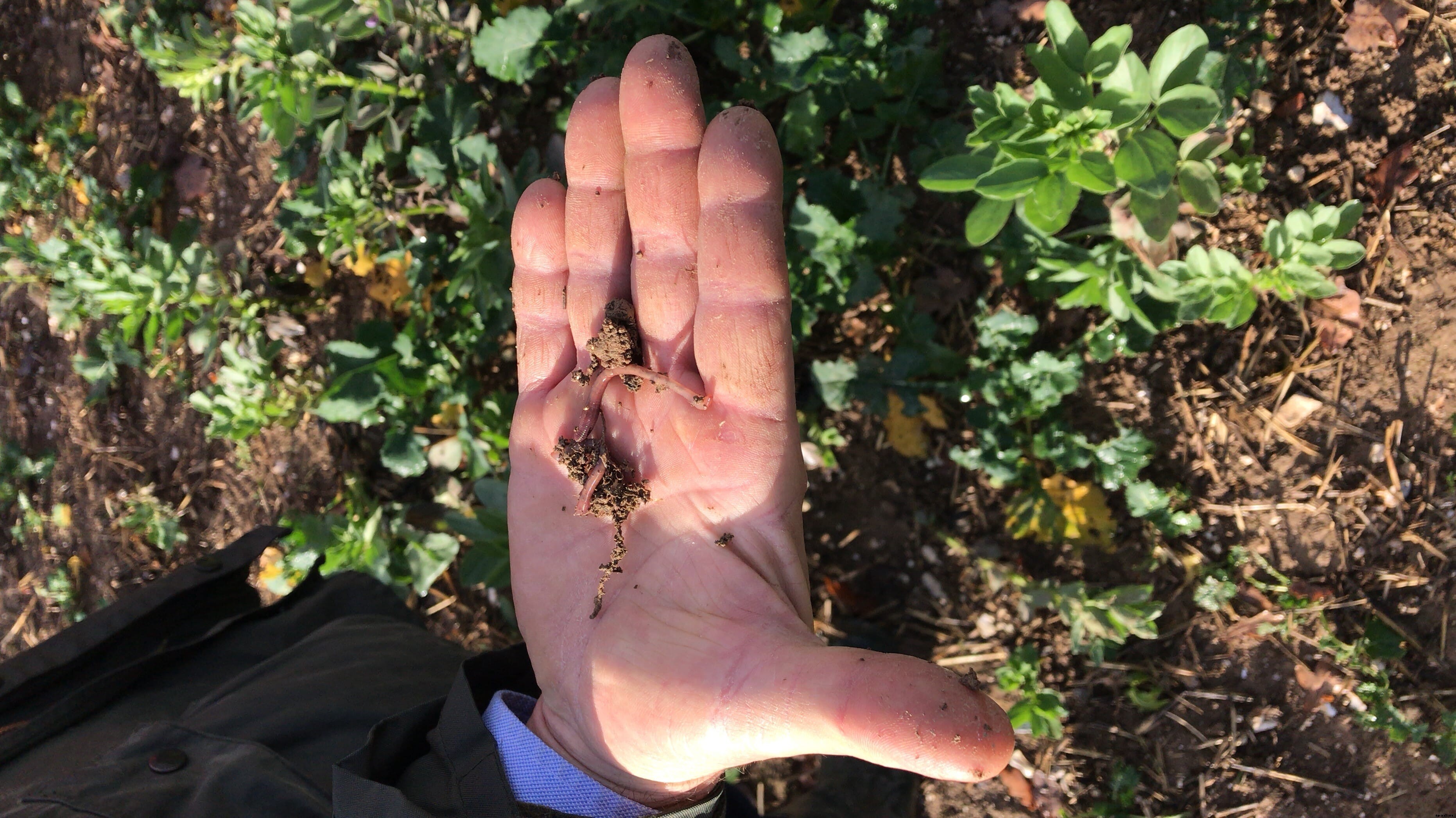 Australian farmers share how they are part of the climate solution with new initiative