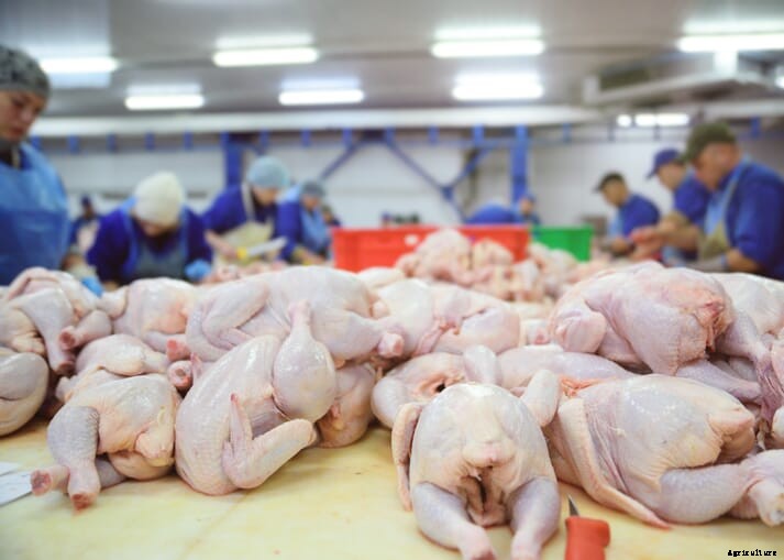 On-going labor crisis in the British poultry industry could lead to production shortages
