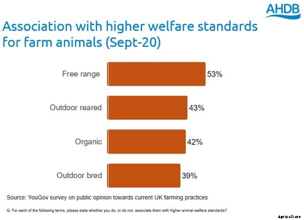 Understanding consumers attitudes to animal welfare