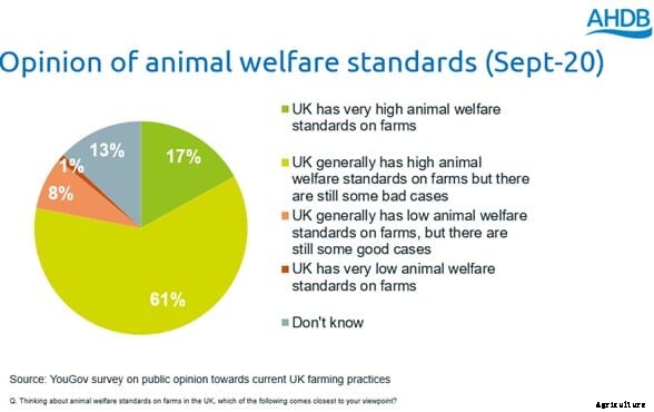 Understanding consumers attitudes to animal welfare