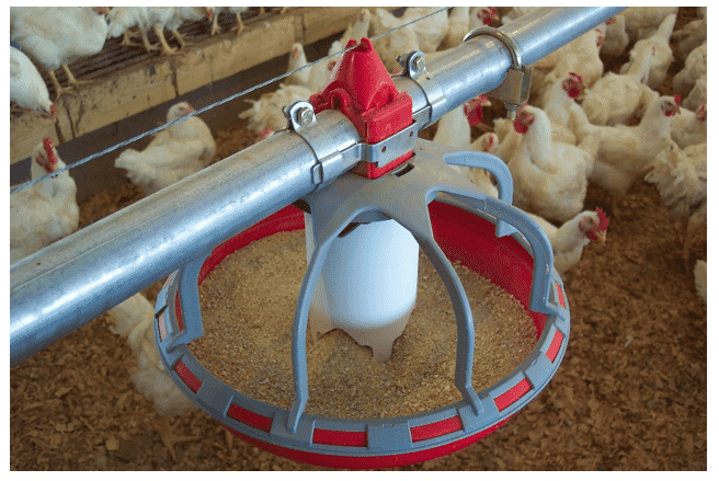 Fundamentals to managing male straight-line pan feeders