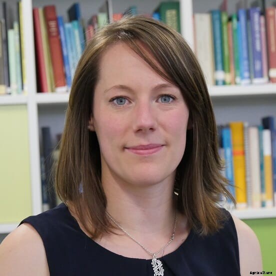 AHDB: Feed grain supply picture still uncertain despite global harvests advancing