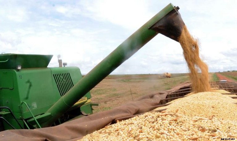 Brazil expects grain production to grow 27%, meat to grow 24% over next 10 years