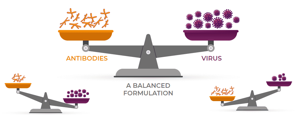 Consistency and reliability of the IBD Immune-Complex Vaccine