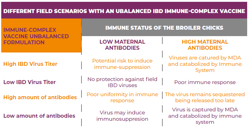 Consistency and reliability of the IBD Immune-Complex Vaccine