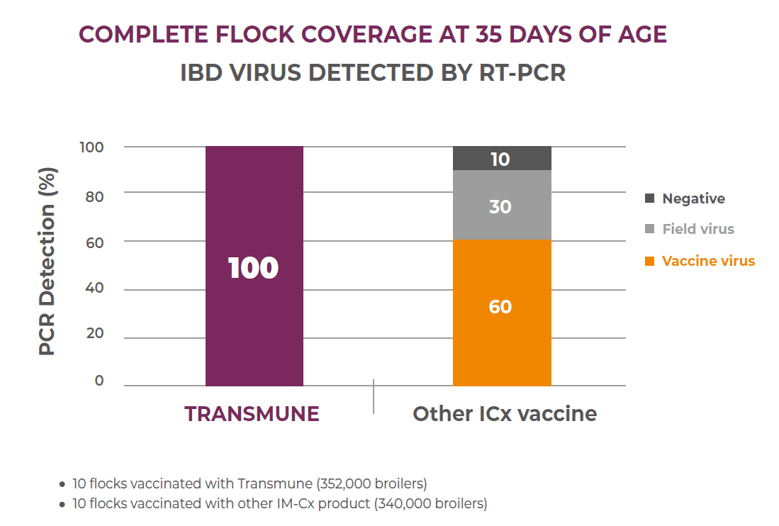 Consistency and reliability of the IBD Immune-Complex Vaccine