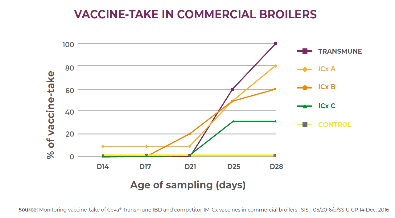 Consistency and reliability of the IBD Immune-Complex Vaccine