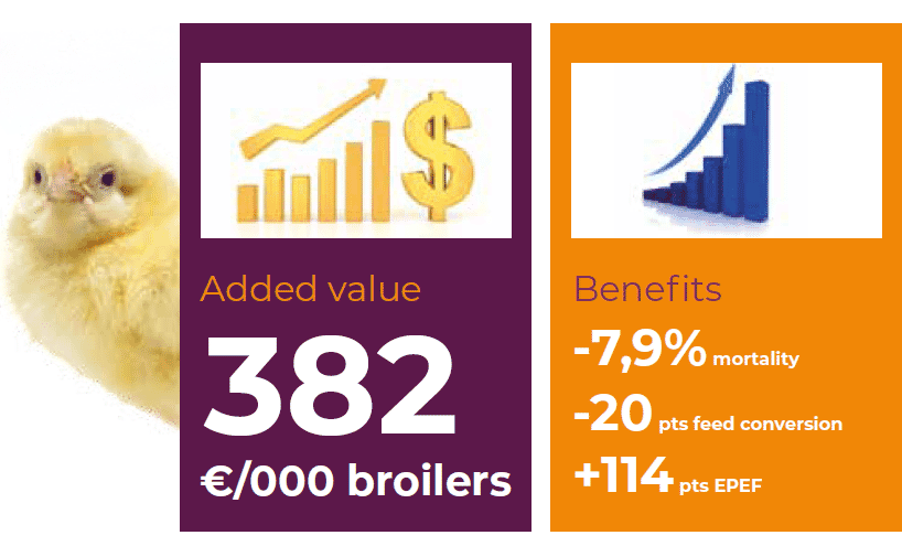 Consistency and reliability of the IBD Immune-Complex Vaccine
