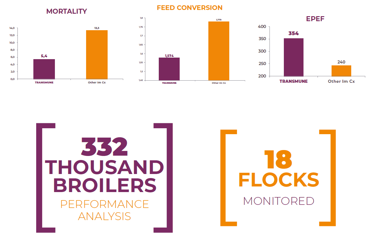 Consistency and reliability of the IBD Immune-Complex Vaccine