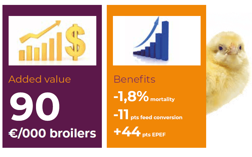 Consistency and reliability of the IBD Immune-Complex Vaccine