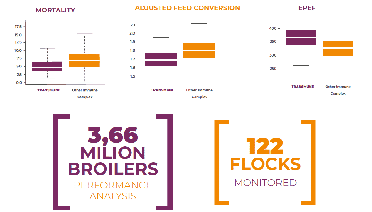 Consistency and reliability of the IBD Immune-Complex Vaccine
