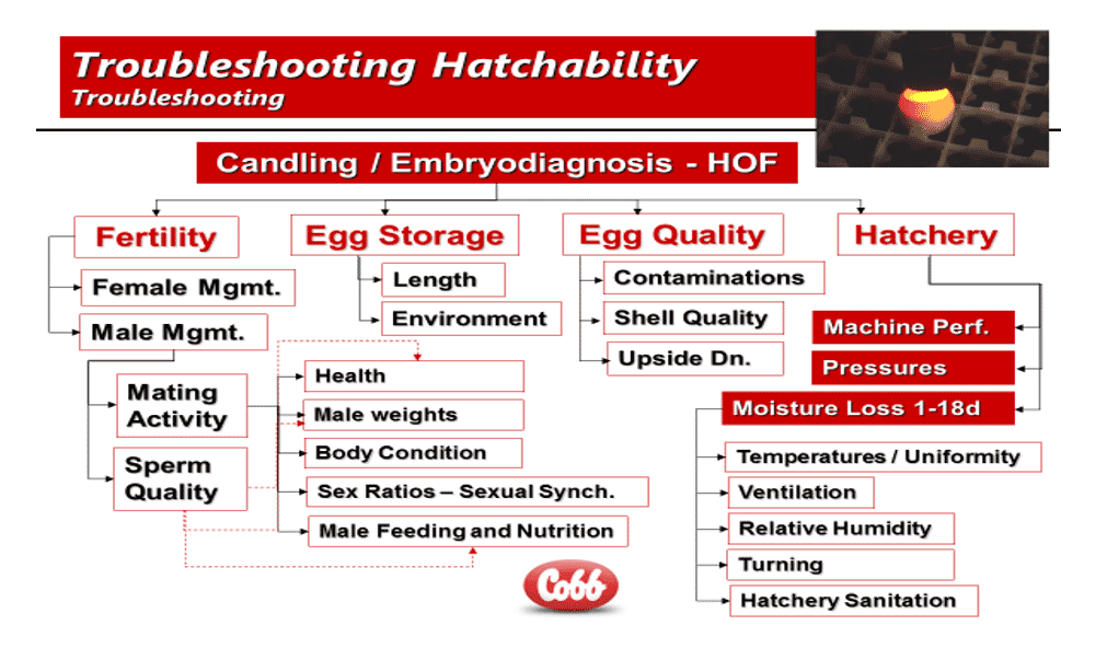 Implementing troubleshooting