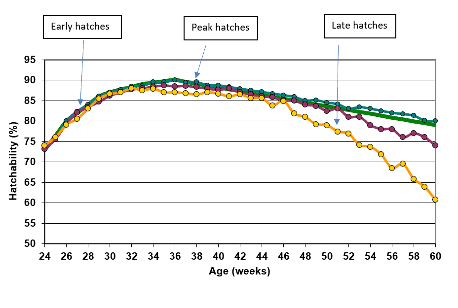 Implementing troubleshooting