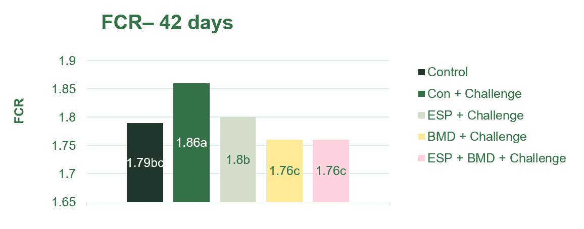 Perspectives on broiler starter feed in China, after one year without AGPs