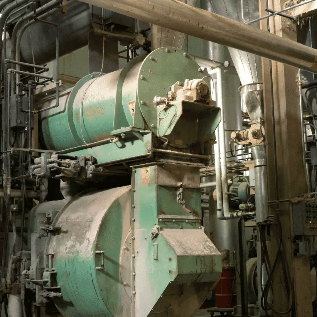 Do feed treatments reduce incidence of Salmonella in live production?