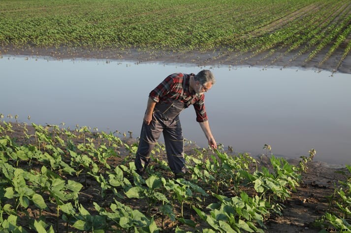 EPA's water rule reversal a blow to agriculture, says AFBF