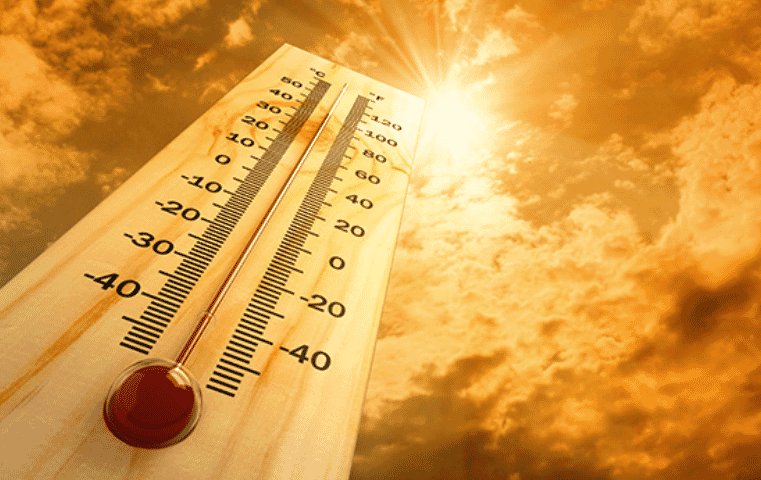 5 steps to preventing heat stress in layers
