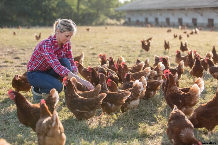 Canada's poultry and egg producers can now apply for PEFIP funding
