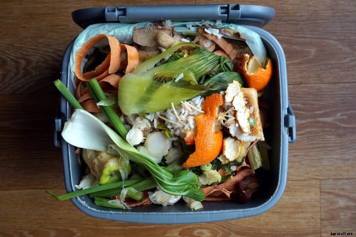 Canada launches second half of its $20-million Food Waste Reduction Challenge