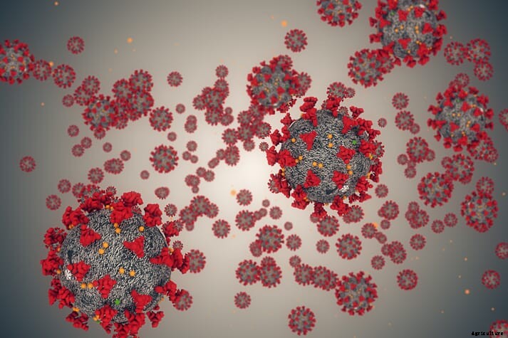 UN bodies set up “One Health” panel to advise on animal disease risks