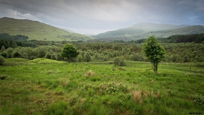 EU Action Plan aims for zero pollution in air, water and soil