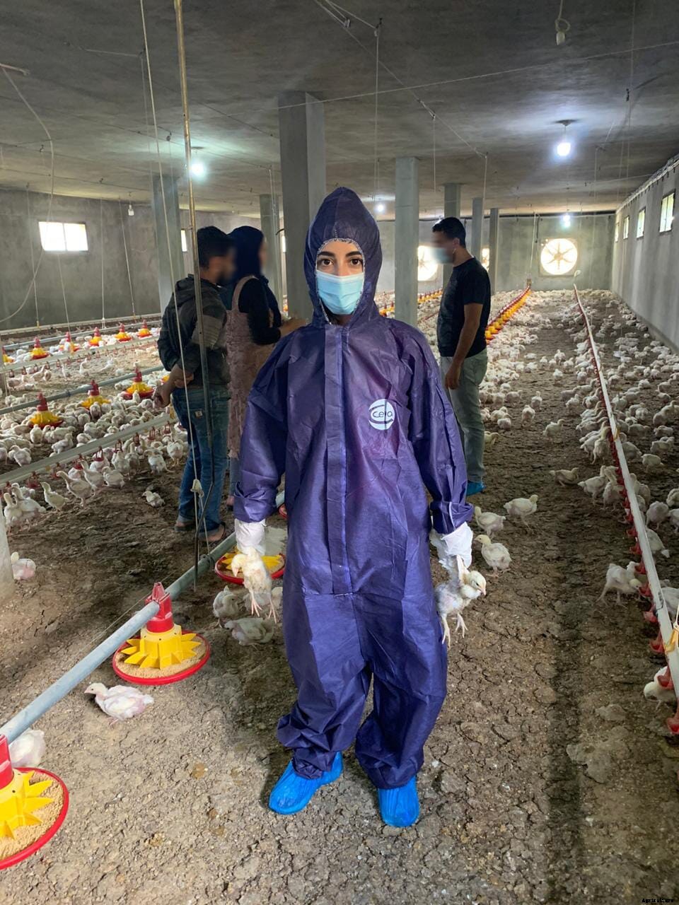 Women in Poultry: Safaa Melhem Alam