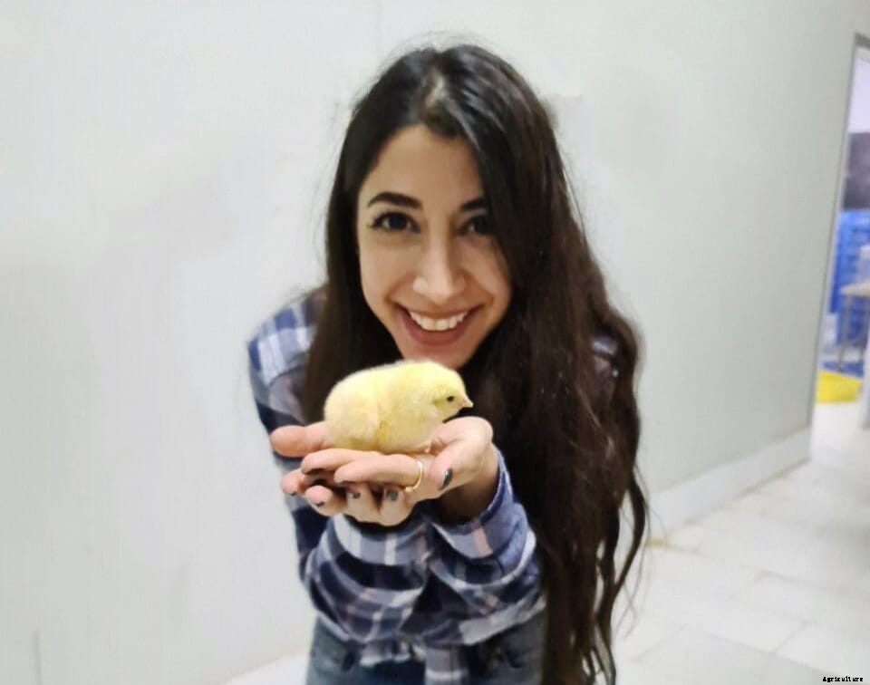 Women in Poultry: Safaa Melhem Alam
