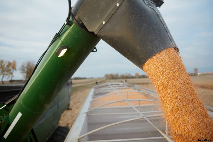 Brazil meatpackers JBS and BRF report being stung by feed costs in the home market