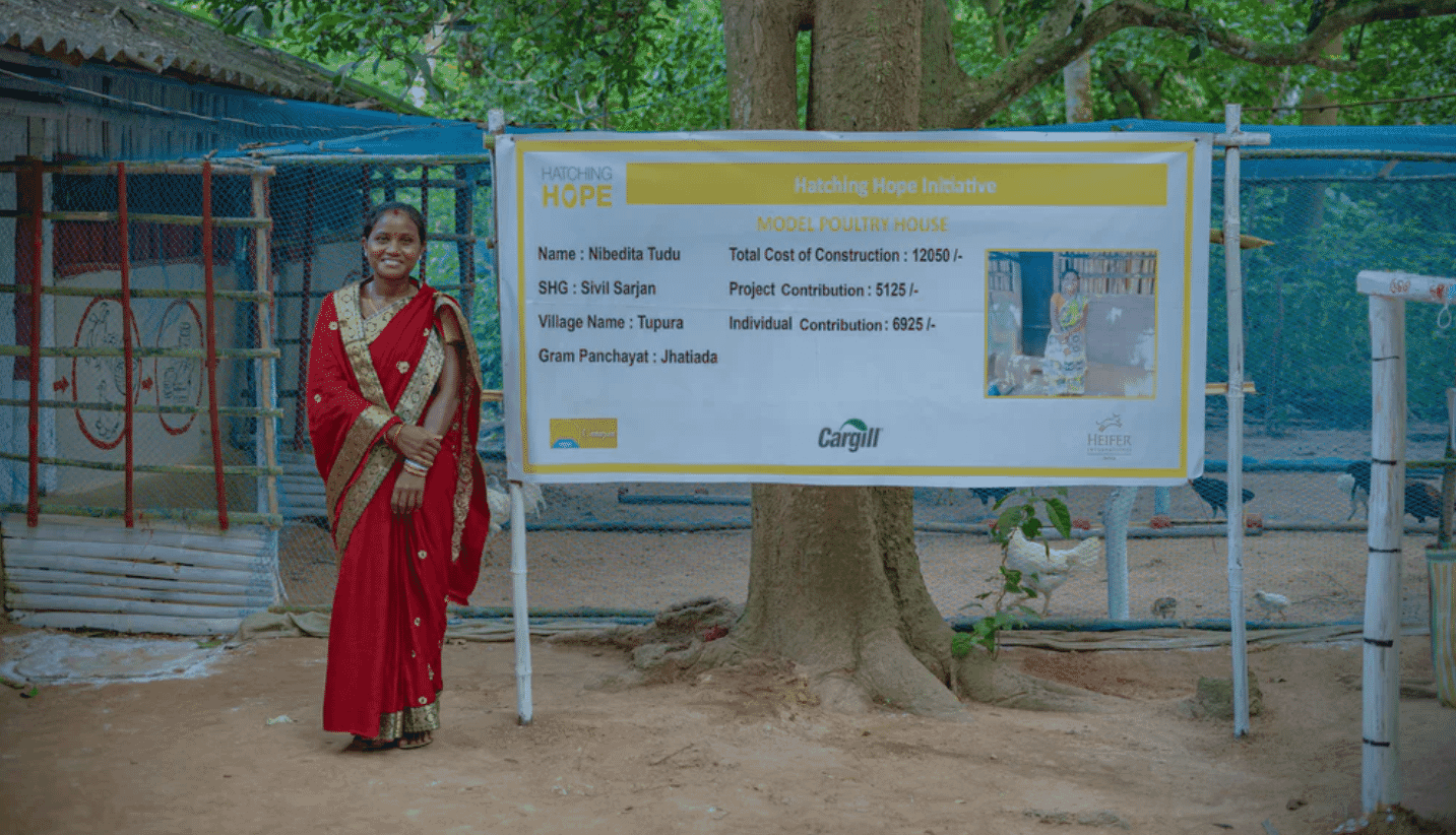 Meals and snacks for a chicken: Two unusual, low - cost chicken feed options for some of the world’s poorest entrepreneurs